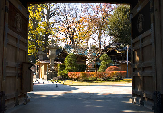 Japan Inari Temple