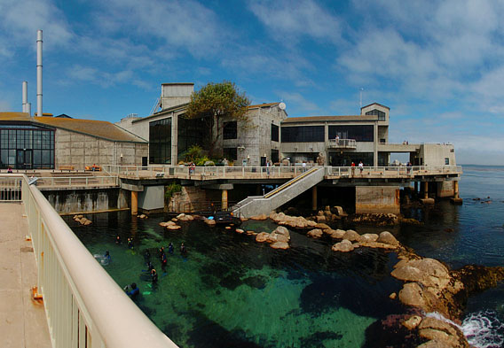 Monterey Bay Aquarium