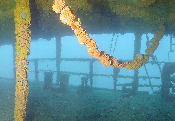 St. Thomas Wreck Diving